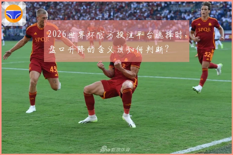 2026世界杯官方投注平台选择时，盘口升降的含义该如何判断？