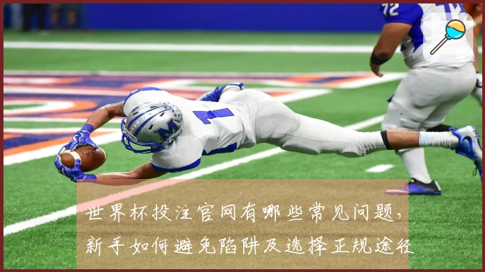 世界杯投注官网有哪些常见问题，新手如何避免陷阱及选择正规途径？