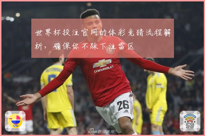 世界杯投注官网的体彩竞猜流程解析，确保你不踩下注雷区
