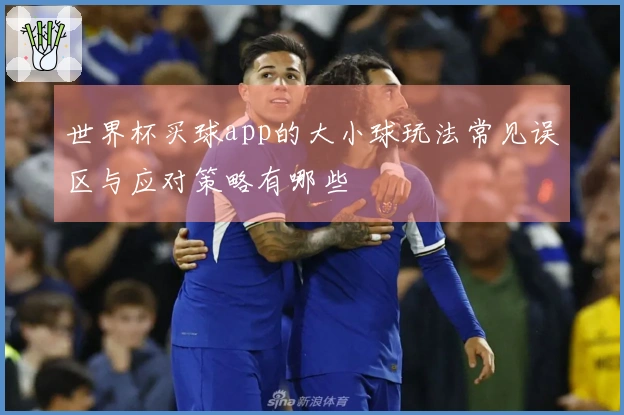 世界杯买球app的大小球玩法常见误区与应对策略有哪些