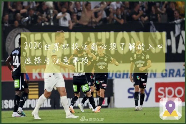 2026世界杯投注前必须了解的入口选择与注意事项