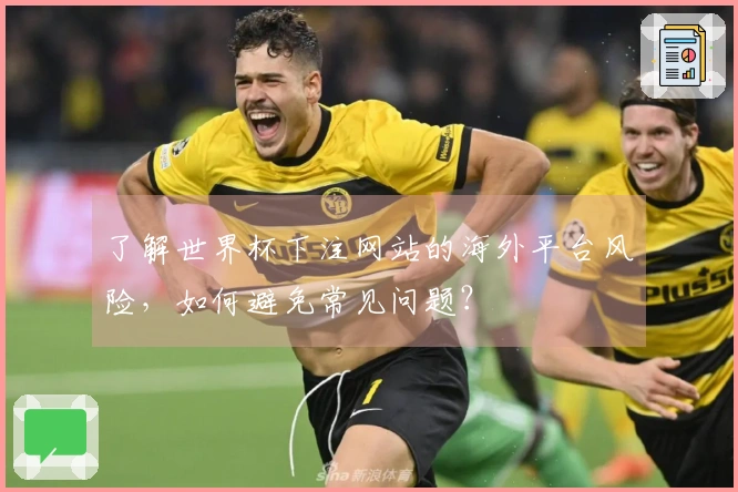 了解世界杯下注网站的海外平台风险，如何避免常见问题？