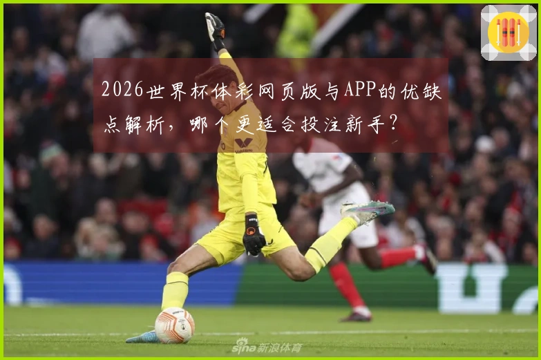 2026世界杯体彩网页版与APP的优缺点解析，哪个更适合投注新手？
