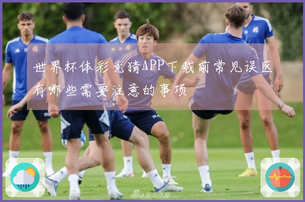 世界杯体彩竞猜APP下载前常见误区有哪些需要注意的事项
