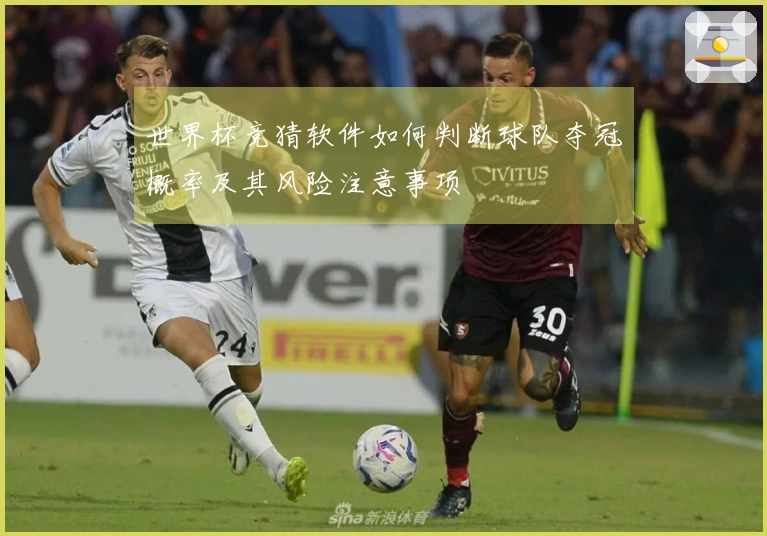 世界杯竞猜软件如何判断球队夺冠概率及其风险注意事项
