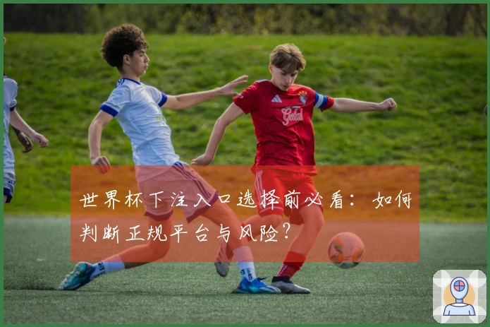 世界杯下注入口选择前必看：如何判断正规平台与风险？