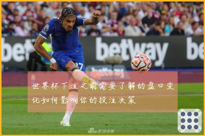 世界杯下注之前需要了解的盘口变化如何影响你的投注决策