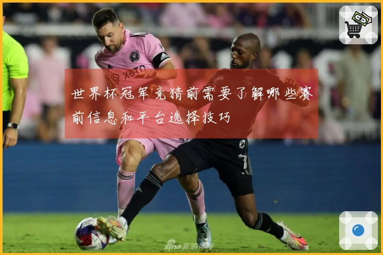 世界杯冠军竞猜前需要了解哪些赛前信息和平台选择技巧