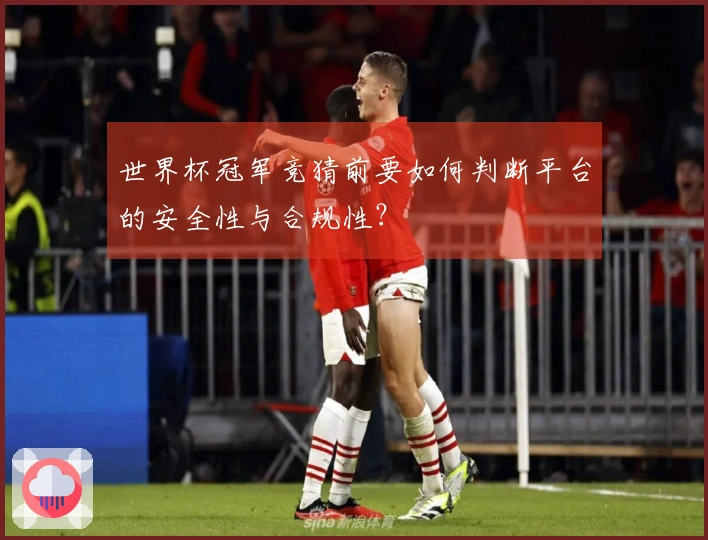 世界杯冠军竞猜前要如何判断平台的安全性与合规性？