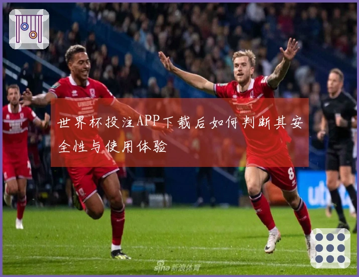 世界杯投注APP下载后如何判断其安全性与使用体验