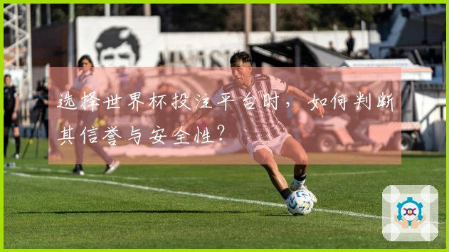选择世界杯投注平台时，如何判断其信誉与安全性？