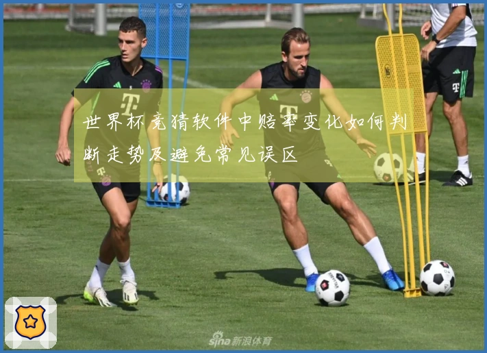 世界杯竞猜软件中赔率变化如何判断走势及避免常见误区