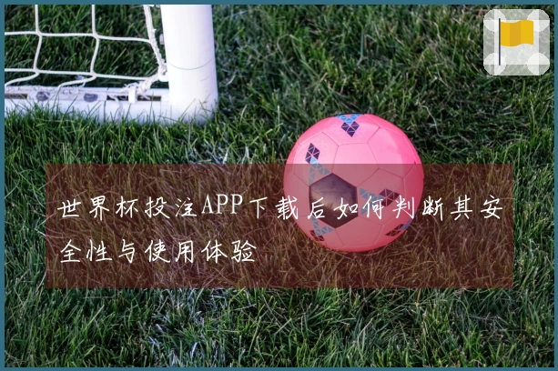 世界杯投注APP下载后如何判断其安全性与使用体验