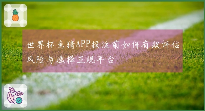 世界杯竞猜APP投注前如何有效评估风险与选择正规平台