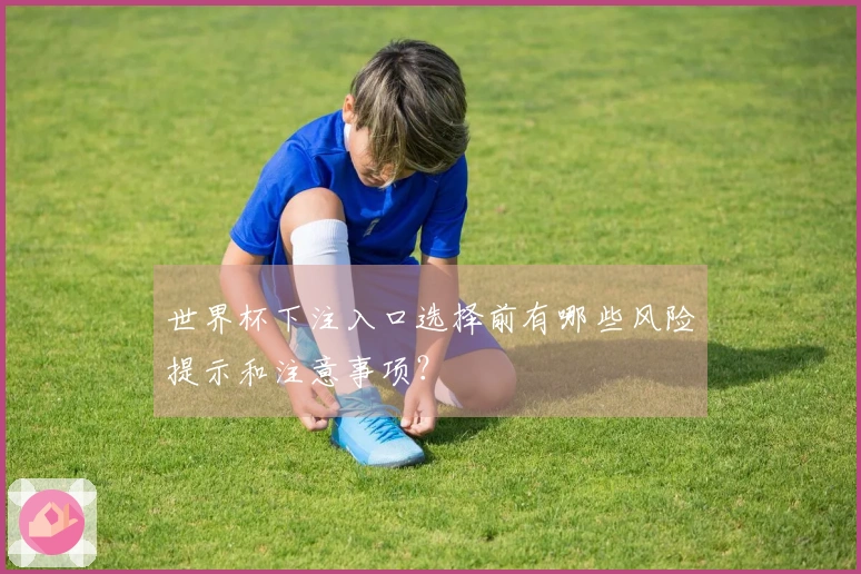 世界杯下注入口选择前有哪些风险提示和注意事项？