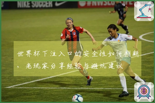 世界杯下注入口的安全性如何判断，老玩家分享经验与避坑建议