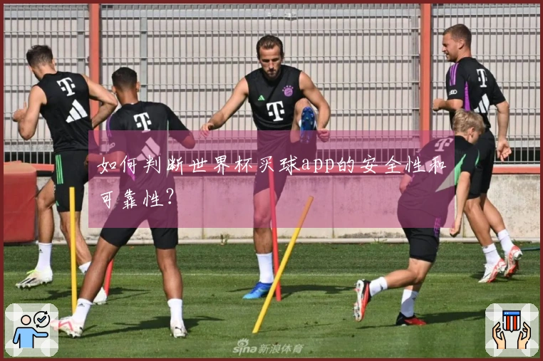 如何判断世界杯买球app的安全性和可靠性？