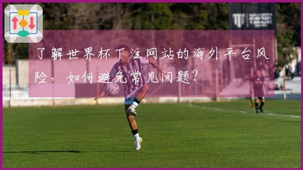了解世界杯下注网站的海外平台风险，如何避免常见问题？