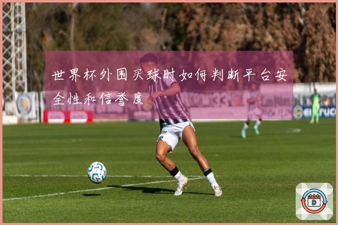 世界杯外围买球时如何判断平台安全性和信誉度