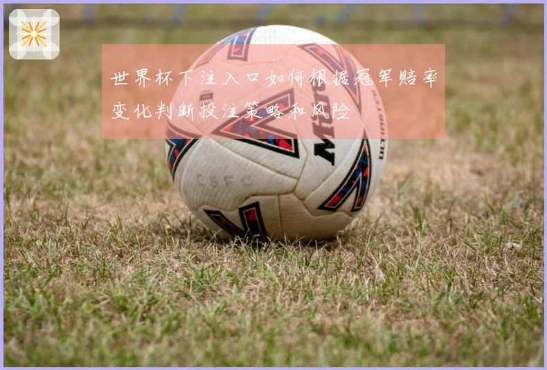 世界杯下注入口如何根据冠军赔率变化判断投注策略和风险