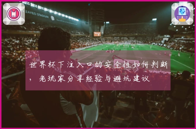 世界杯下注入口的安全性如何判断,老玩家分享经验与避坑建议