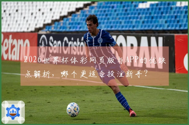 2026世界杯体彩网页版与APP的优缺点解析，哪个更适合投注新手？